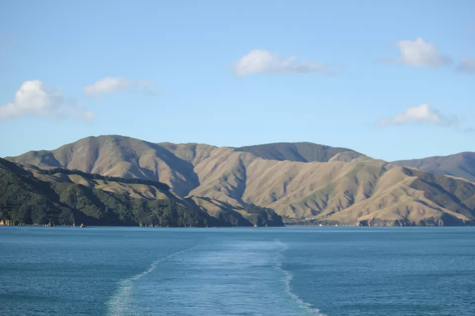 Photo of My Big Kiwi Adventure Log I: That Glorious Journey from Auckland to Marlborough Sounds by Rahul Poonja