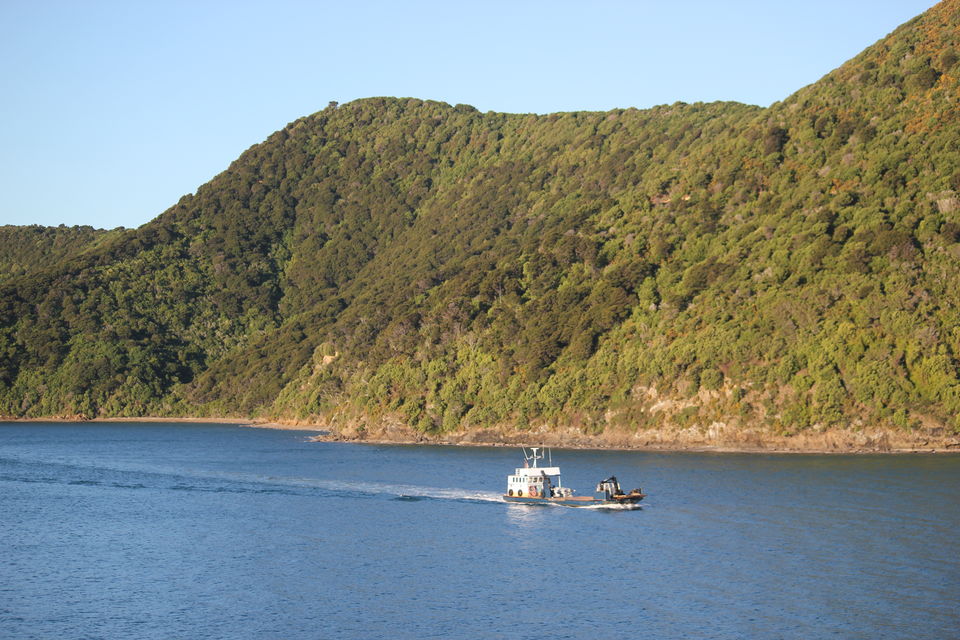 Photo of My Big Kiwi Adventure Log I: That Glorious Journey from Auckland to Marlborough Sounds by Rahul Poonja