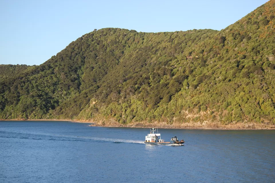 Photo of My Big Kiwi Adventure Log I: That Glorious Journey from Auckland to Marlborough Sounds by Rahul Poonja