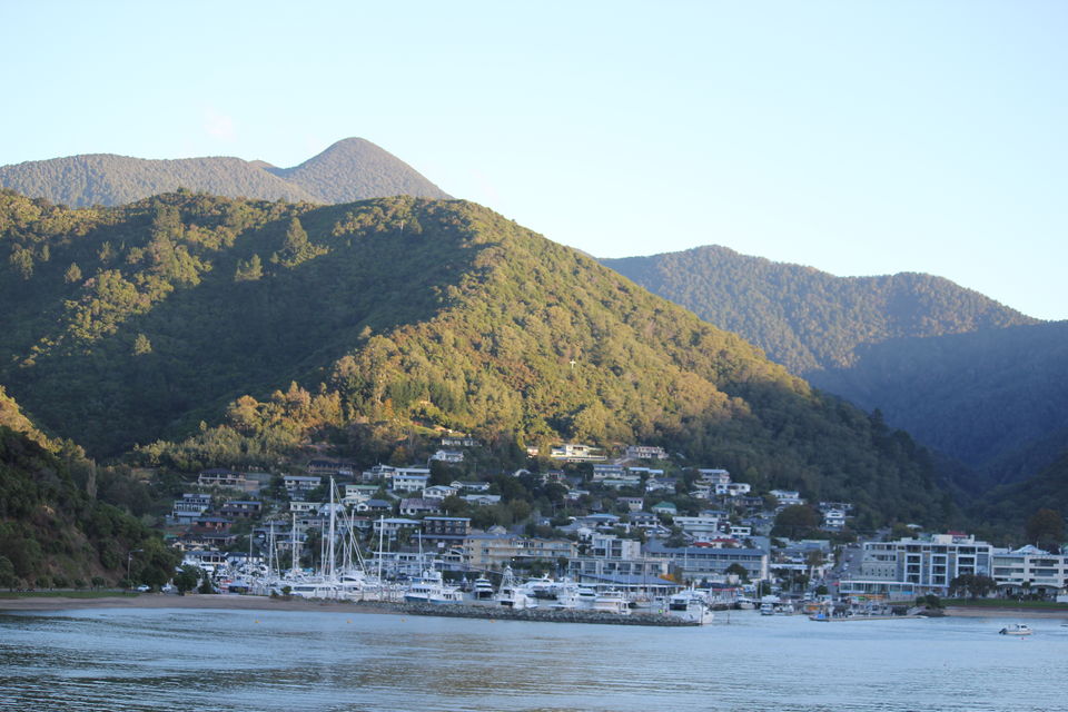 Photo of My Big Kiwi Adventure Log I: That Glorious Journey from Auckland to Marlborough Sounds by Rahul Poonja
