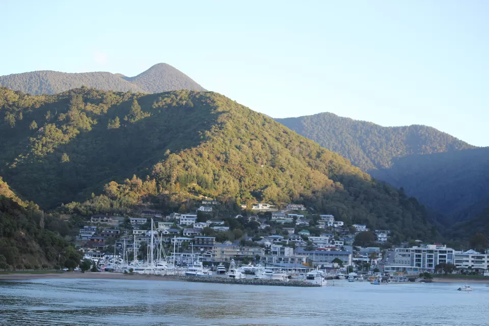 Photo of My Big Kiwi Adventure Log I: That Glorious Journey from Auckland to Marlborough Sounds by Rahul Poonja
