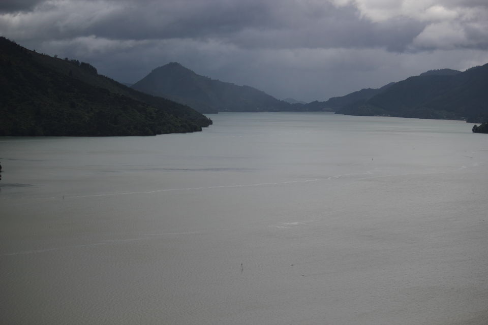 Photo of My Big Kiwi Adventure Log I: That Glorious Journey from Auckland to Marlborough Sounds by Rahul Poonja