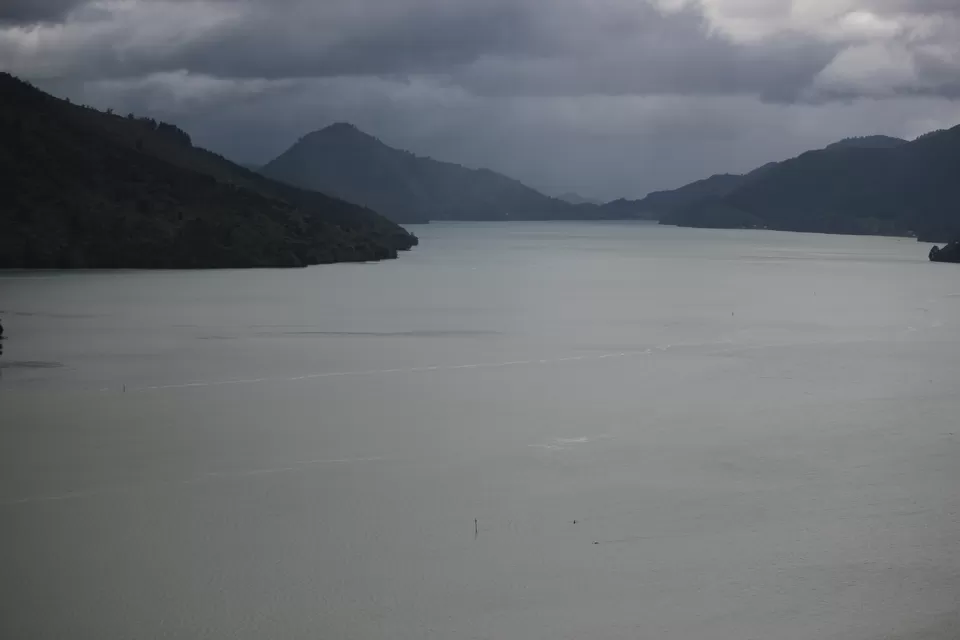 Photo of My Big Kiwi Adventure Log I: That Glorious Journey from Auckland to Marlborough Sounds by Rahul Poonja