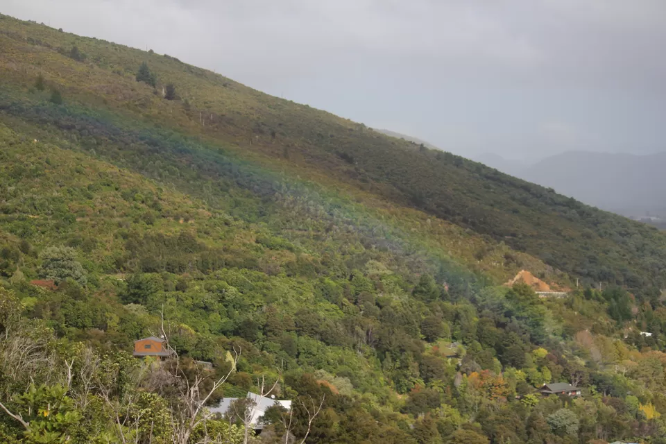 Photo of My Big Kiwi Adventure Log I: That Glorious Journey from Auckland to Marlborough Sounds by Rahul Poonja