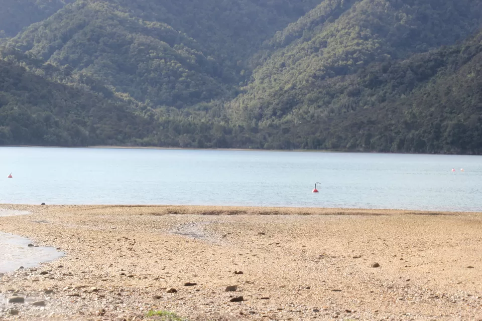 Photo of My Big Kiwi Adventure Log I: That Glorious Journey from Auckland to Marlborough Sounds by Rahul Poonja