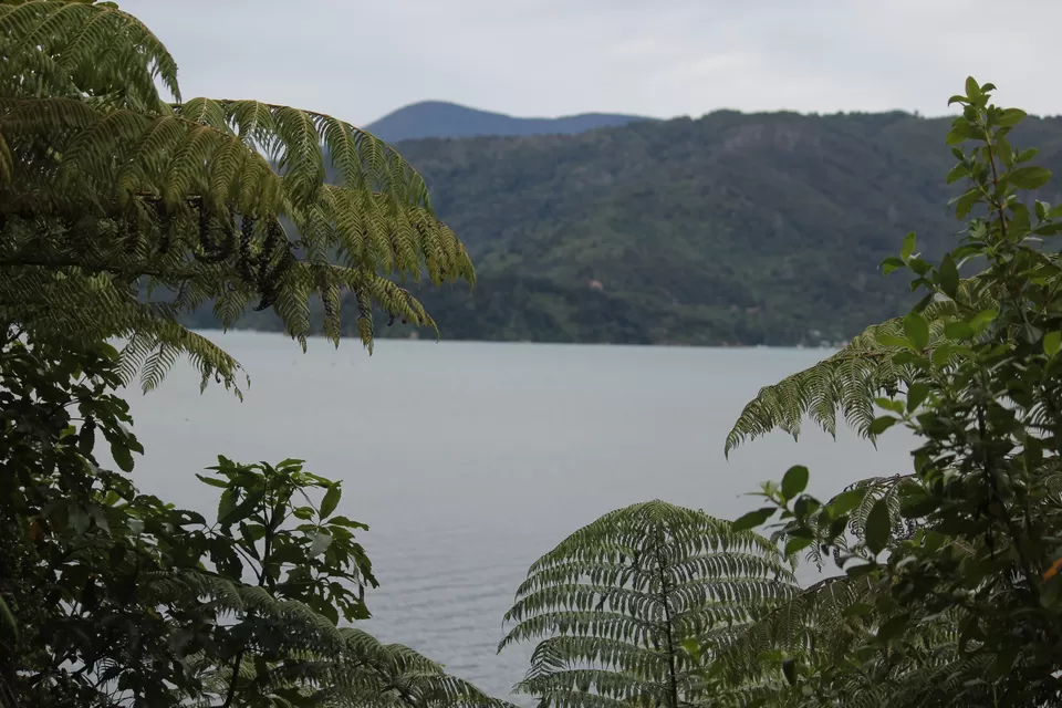 Photo of My Big Kiwi Adventure Log I: That Glorious Journey from Auckland to Marlborough Sounds by Rahul Poonja