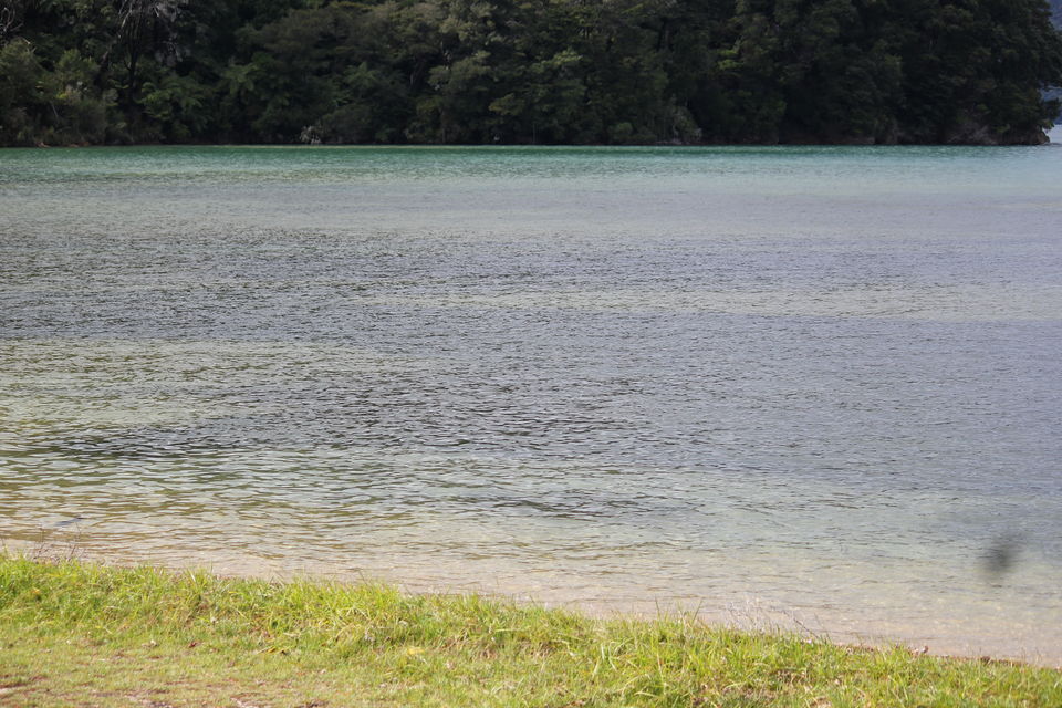 Photo of My Big Kiwi Adventure Log I: That Glorious Journey from Auckland to Marlborough Sounds by Rahul Poonja