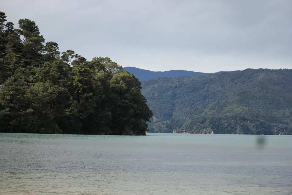Photo of My Big Kiwi Adventure Log I: That Glorious Journey from Auckland to Marlborough Sounds by Rahul Poonja