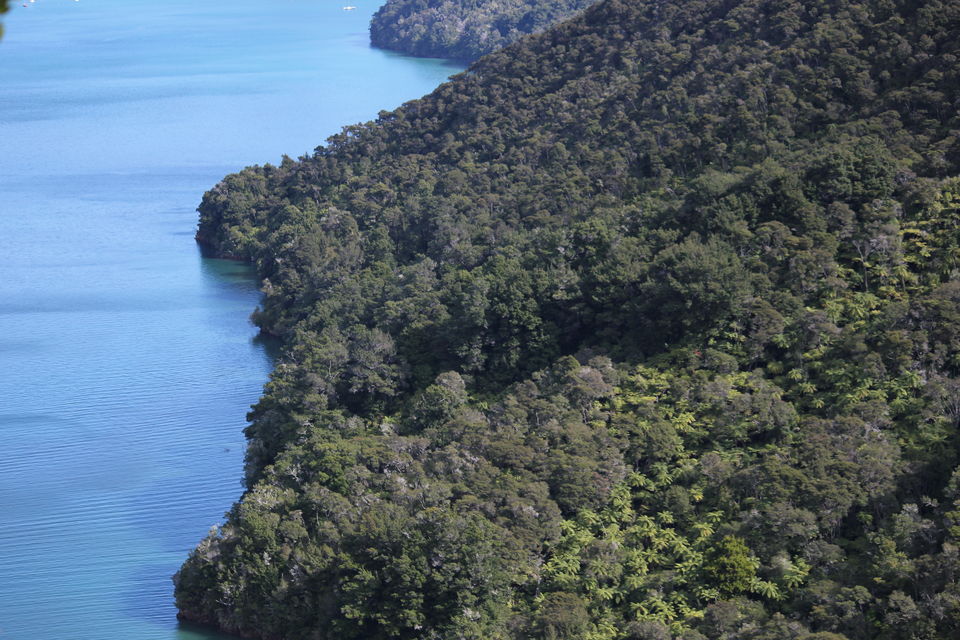 Photo of My Big Kiwi Adventure Log I: That Glorious Journey from Auckland to Marlborough Sounds by Rahul Poonja