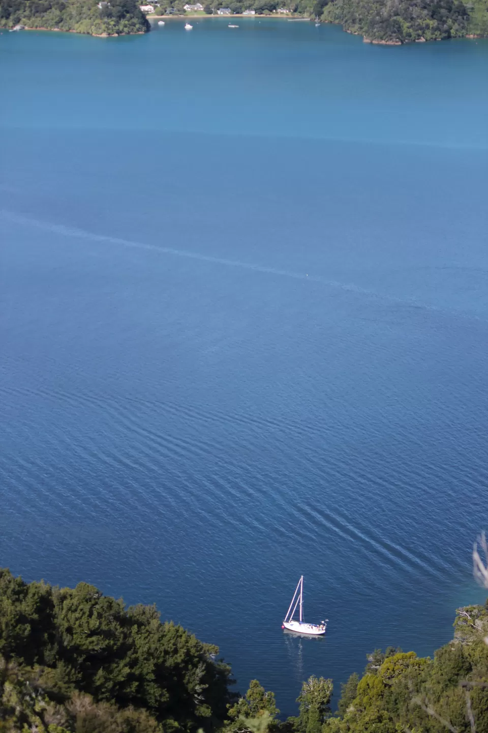Photo of My Big Kiwi Adventure Log I: That Glorious Journey from Auckland to Marlborough Sounds by Rahul Poonja