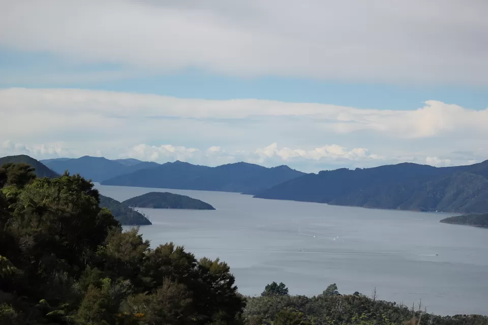 Photo of My Big Kiwi Adventure Log I: That Glorious Journey from Auckland to Marlborough Sounds by Rahul Poonja