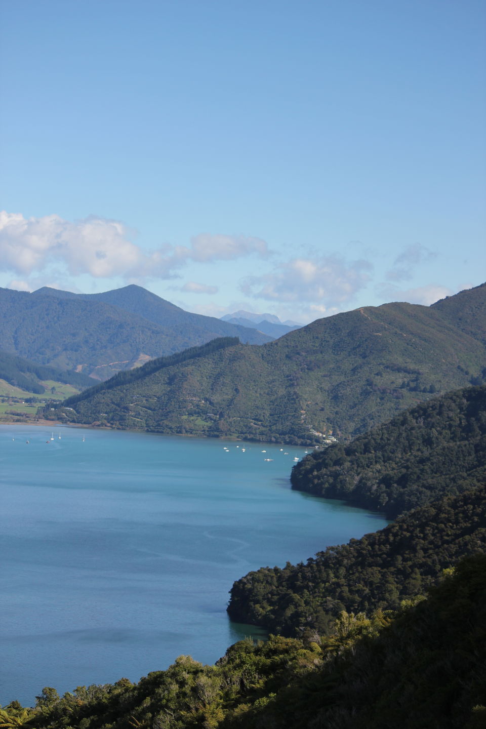 Photo of My Big Kiwi Adventure Log I: That Glorious Journey from Auckland to Marlborough Sounds by Rahul Poonja