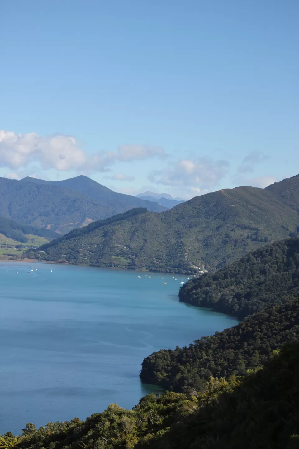 Photo of My Big Kiwi Adventure Log I: That Glorious Journey from Auckland to Marlborough Sounds by Rahul Poonja