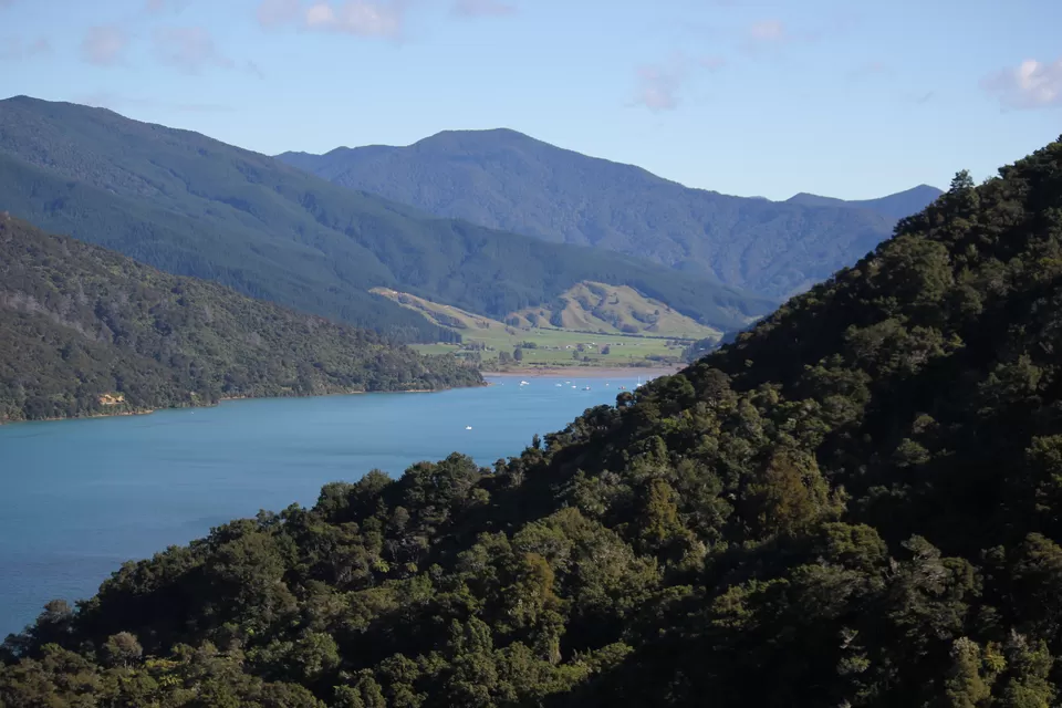 Photo of My Big Kiwi Adventure Log I: That Glorious Journey from Auckland to Marlborough Sounds by Rahul Poonja