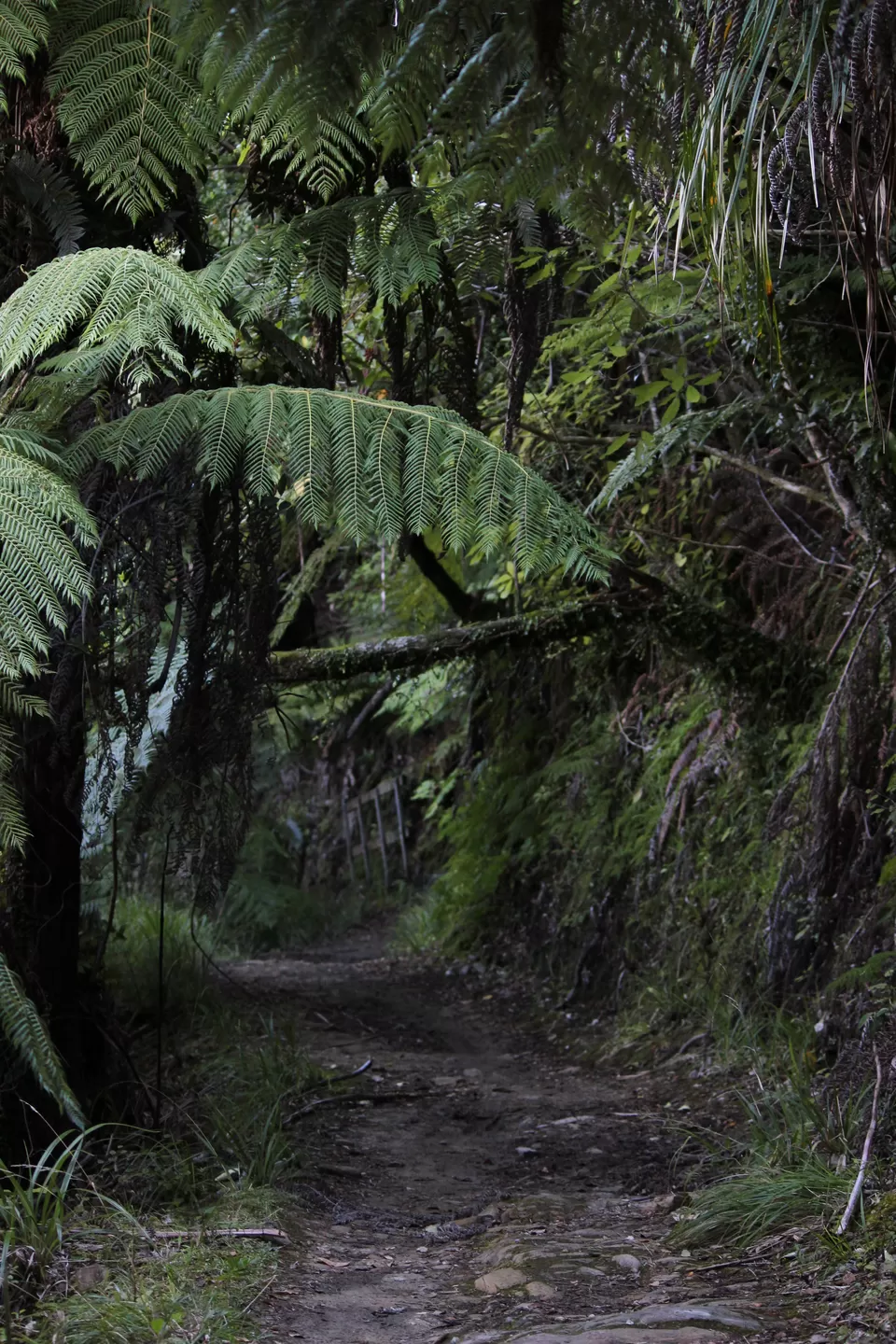 Photo of My Big Kiwi Adventure Log I: That Glorious Journey from Auckland to Marlborough Sounds by Rahul Poonja