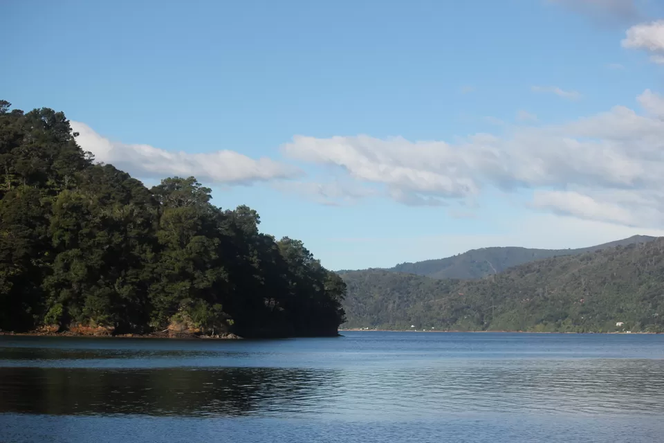 Photo of My Big Kiwi Adventure Log I: That Glorious Journey from Auckland to Marlborough Sounds by Rahul Poonja