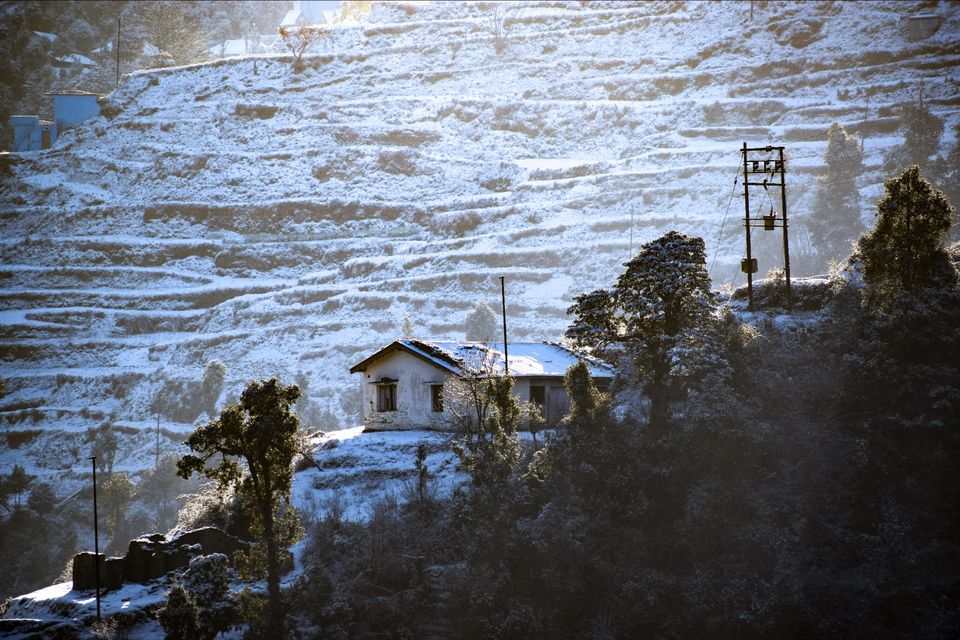 Photo of Dhanaulti, Uttarakhand, India by Rutwa Somani