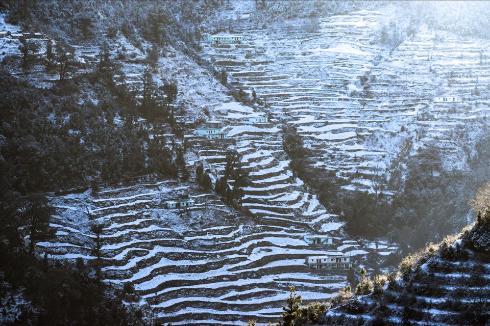 Photo of Dhanaulti, Uttarakhand, India by Rutwa Somani