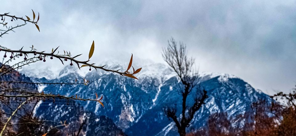 Photo of Joshimath, Uttarakhand, India by Rutwa Somani