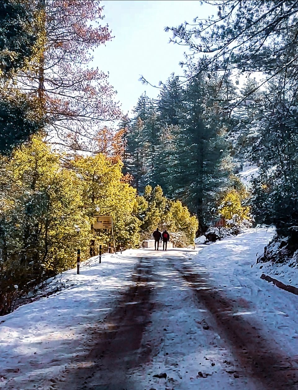 Photo of Joshimath, Uttarakhand, India by Rutwa Somani