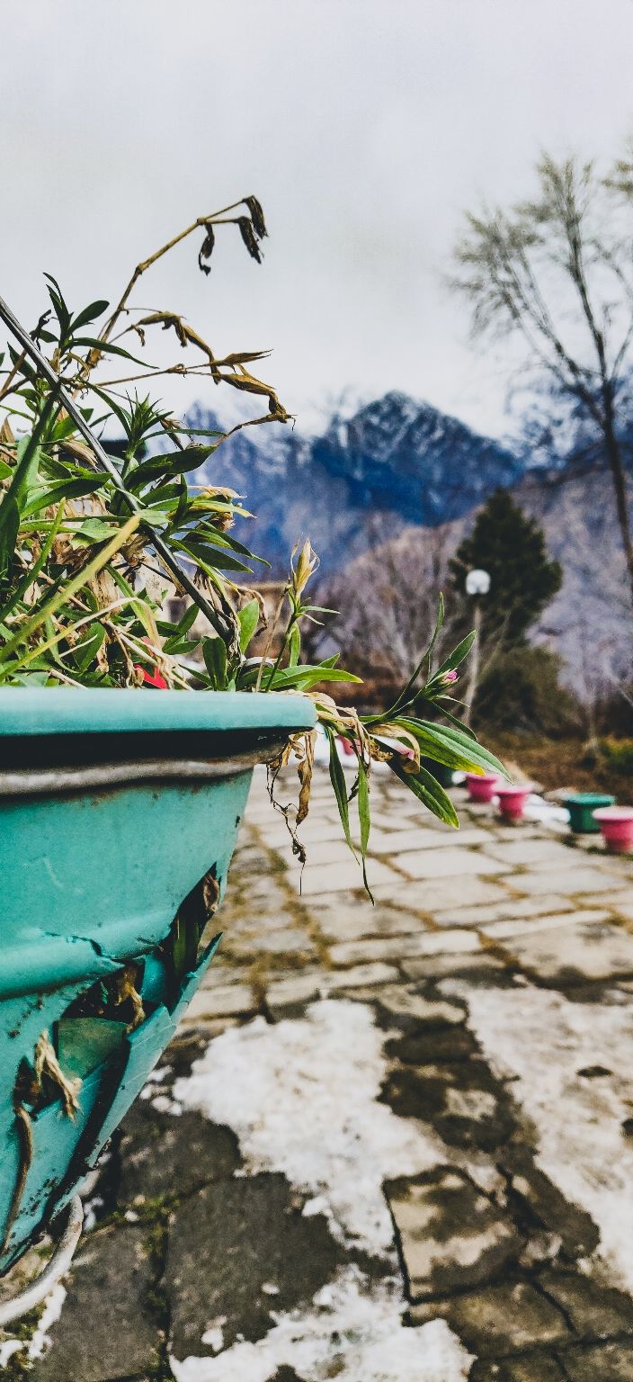 Photo of Joshimath, Uttarakhand, India by Rutwa Somani