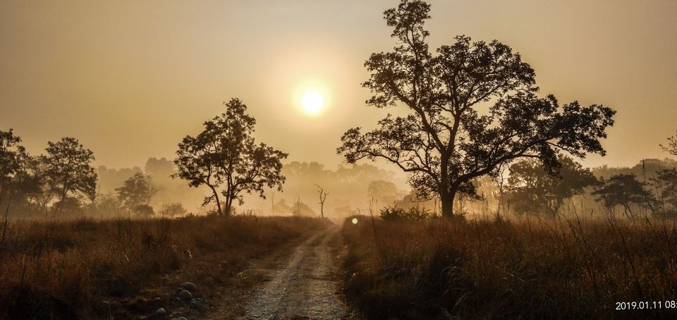 Photo of Jim Corbett National Park, Ramnagar, Uttarakhand, India by Rutwa Somani