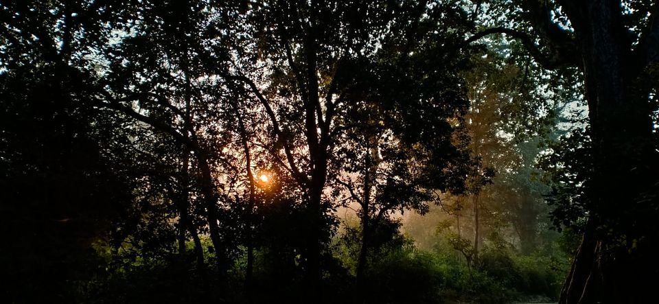 Photo of Jim Corbett National Park, Ramnagar, Uttarakhand, India by Rutwa Somani