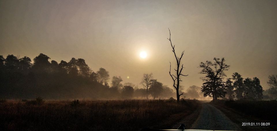 Photo of Jim Corbett National Park, Ramnagar, Uttarakhand, India by Rutwa Somani