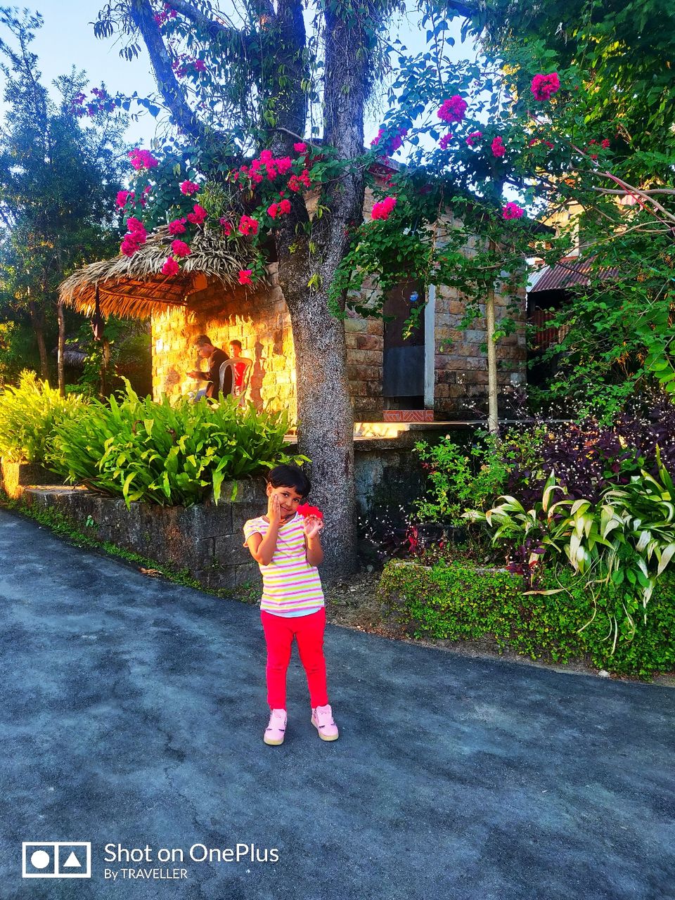 Photo of Mawlynnong by Pankaj Mehta Traveller