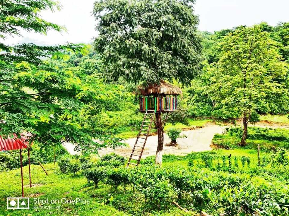 Photo of Dimakuchi by Pankaj Mehta Traveller