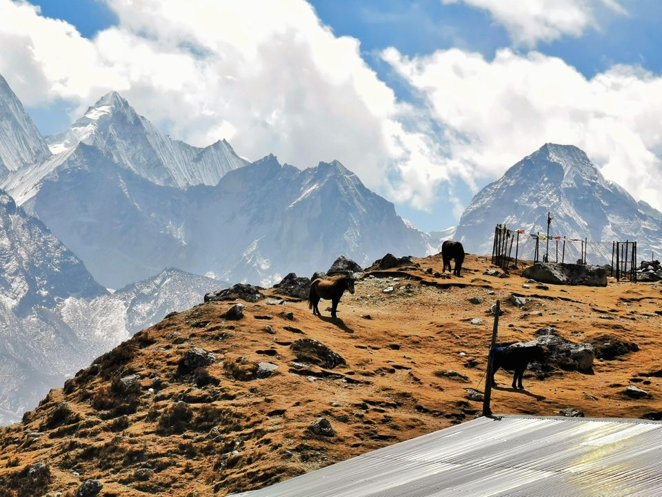 Photo of सिर्फ 15000 भारतीय रुपयों में किया एवरेस्ट बेस कैम्प ट्रेक l by Pankaj Mehta Traveller