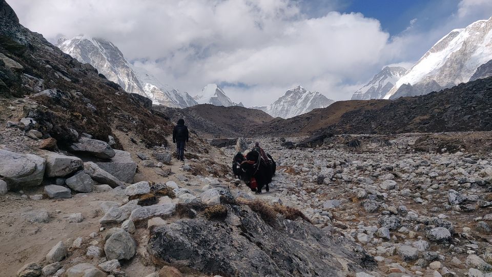 Photo of सिर्फ 15000 भारतीय रुपयों में किया एवरेस्ट बेस कैम्प ट्रेक l by Pankaj Mehta Traveller