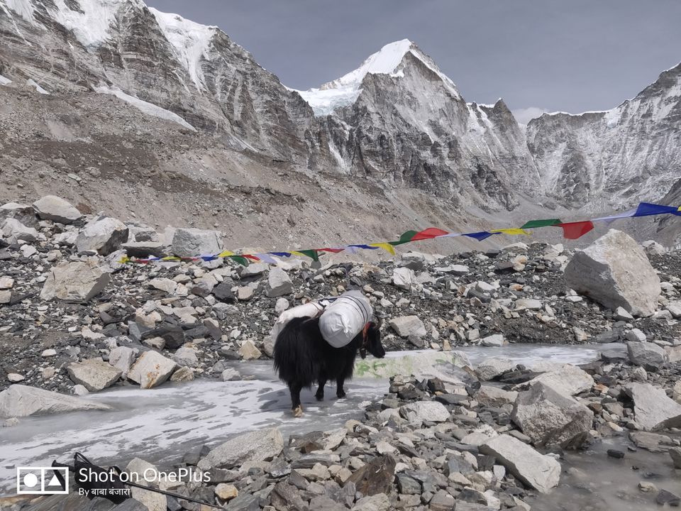 Photo of सिर्फ 15000 भारतीय रुपयों में किया एवरेस्ट बेस कैम्प ट्रेक l by Pankaj Mehta Traveller