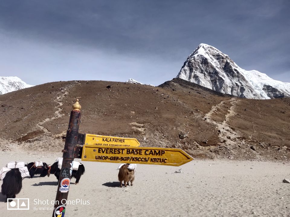 Photo of सिर्फ 15000 भारतीय रुपयों में किया एवरेस्ट बेस कैम्प ट्रेक l by Pankaj Mehta Traveller