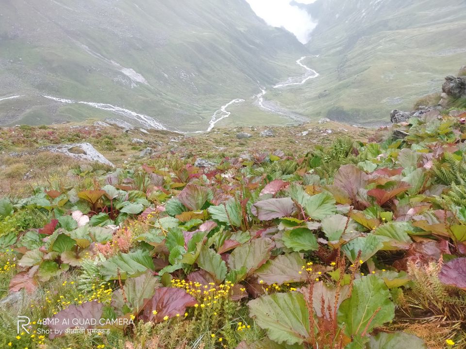 Photo of कागभूशंडी ट्रेक नहीं एक्सपीडिशन से कम by Pankaj Mehta Traveller