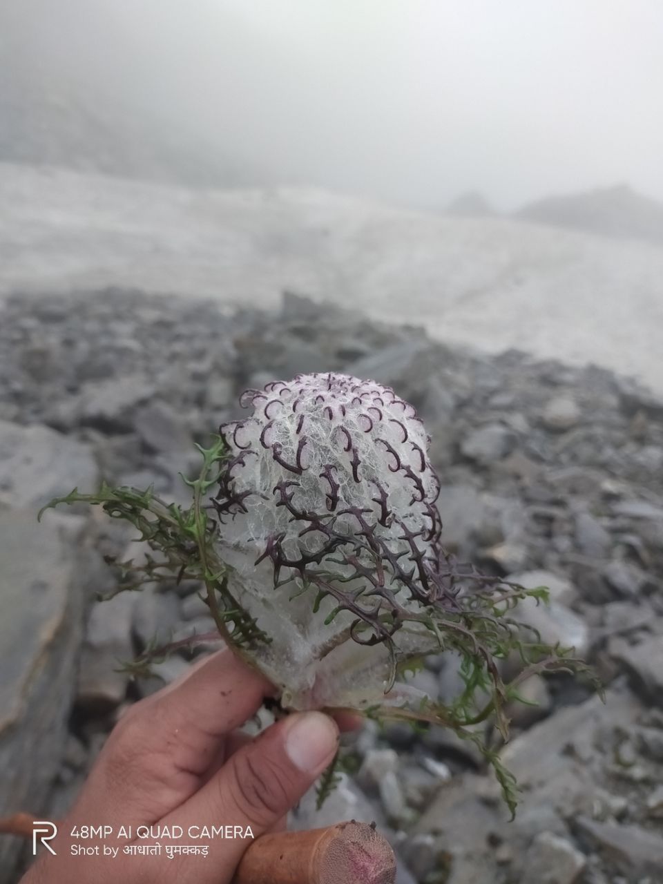 Photo of कागभूशंडी ट्रेक नहीं एक्सपीडिशन से कम by Pankaj Mehta Traveller