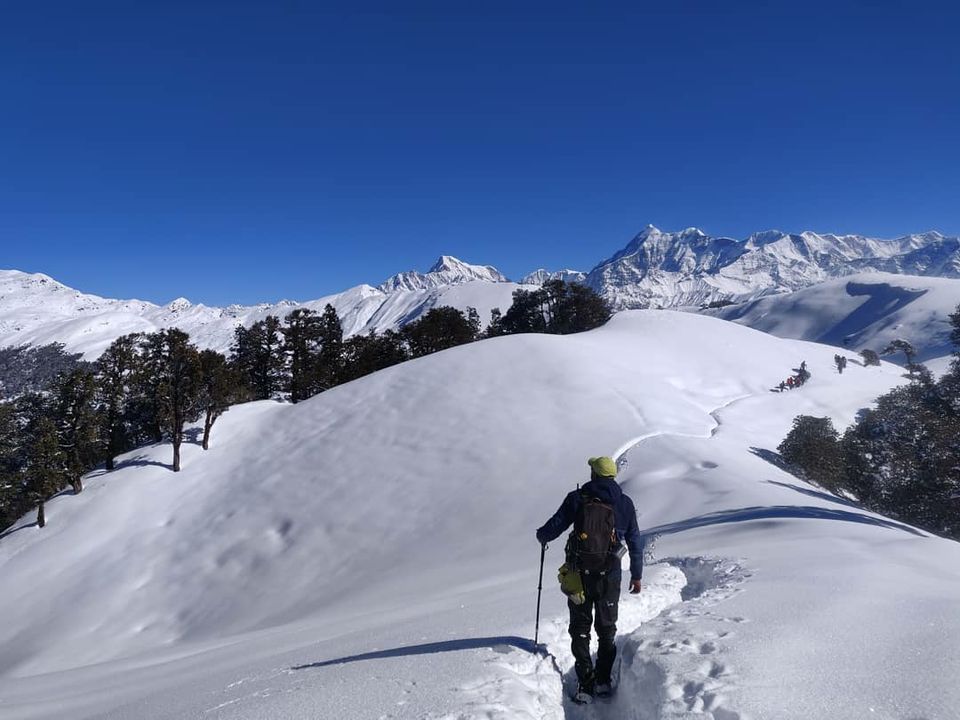Photo of BrahmaTal Trek by Pankaj Mehta Traveller