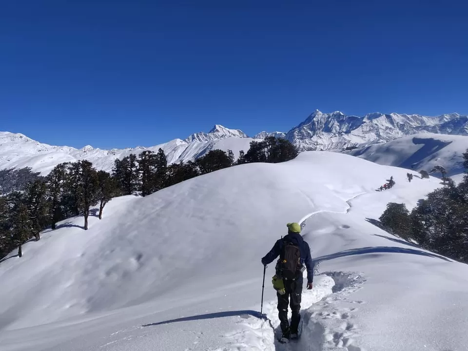 Photo of BrahmaTal Trek by Pankaj Mehta Traveller