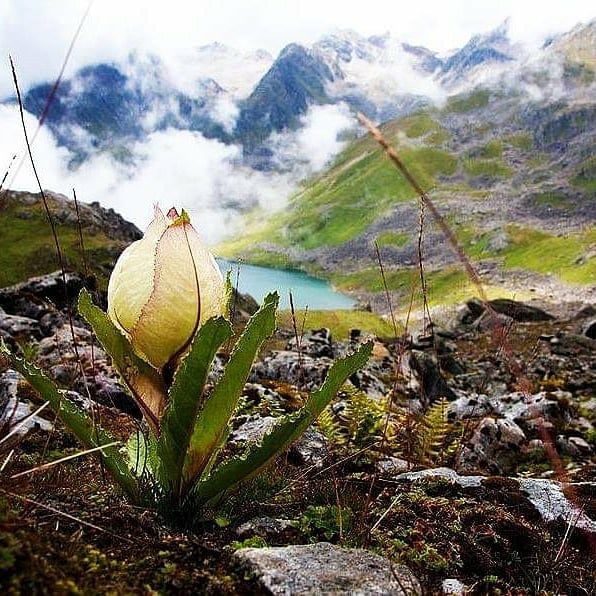 Photo of Vasuki Tal by Pankaj Mehta Traveller