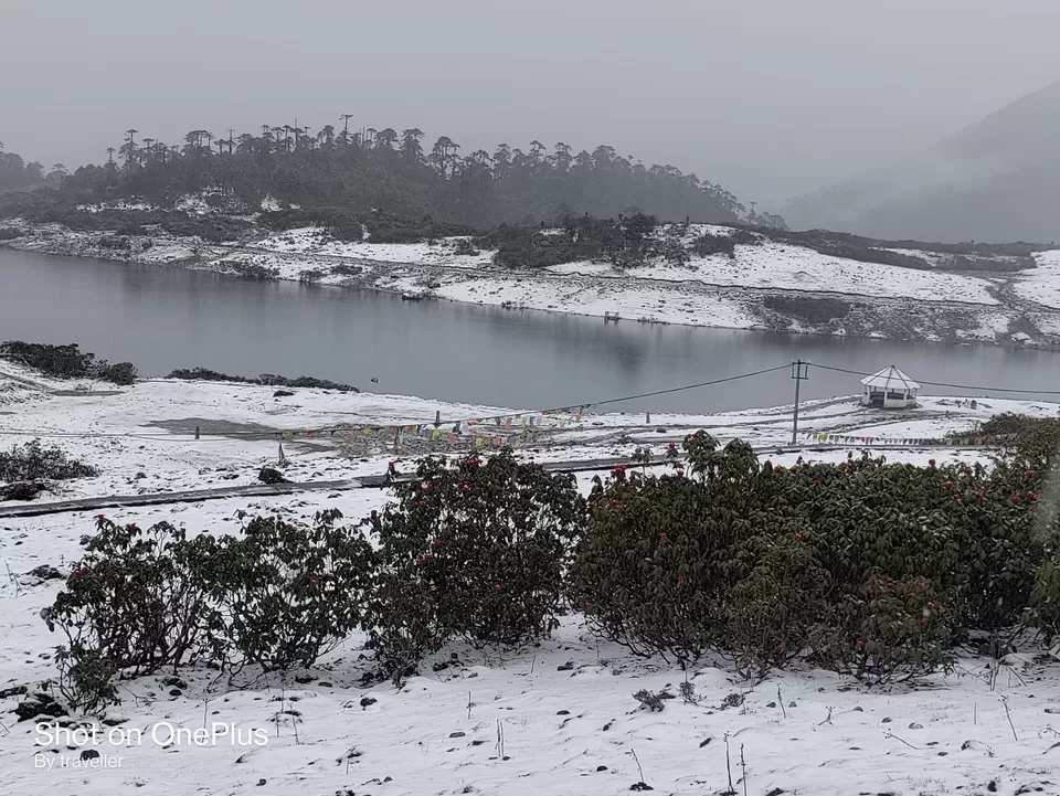 Photo of Bum La Pass By Pankaj Mehta Traveller