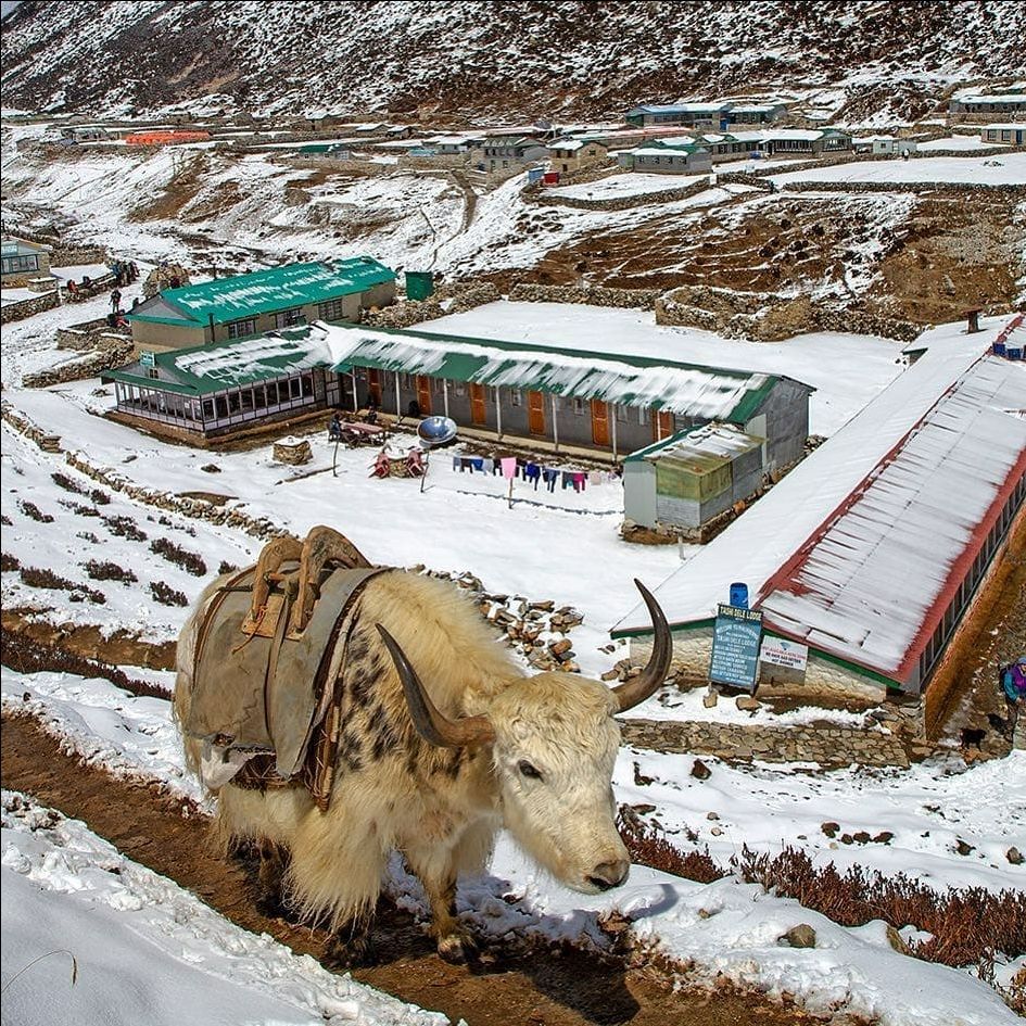 Photo of Machhermo by Pankaj Mehta Traveller