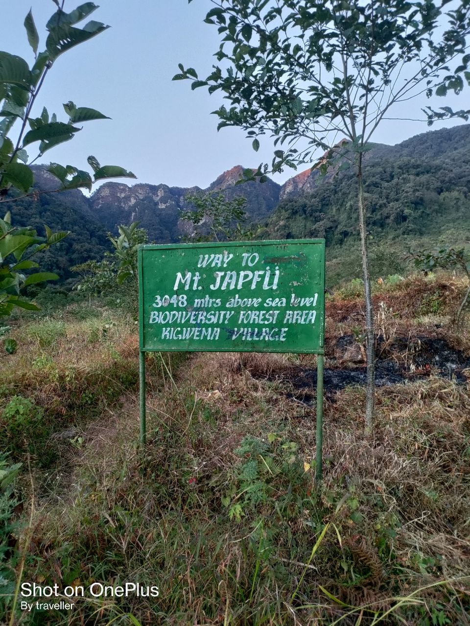 Photo of Japfu peak trek (जाफू पीक ) by Pankaj Mehta Traveller