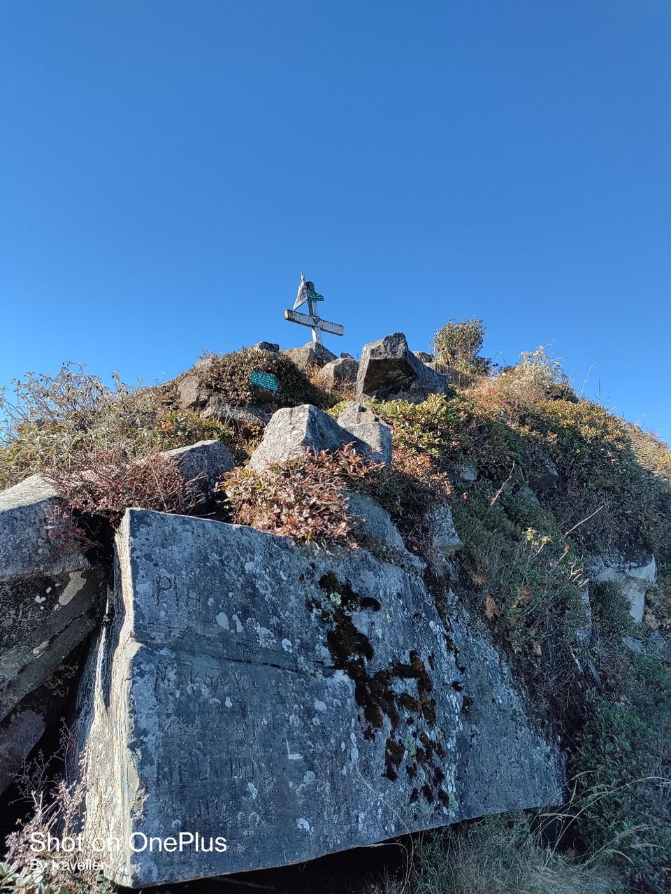 Photo of Japfu peak trek (जाफू पीक ) by Pankaj Mehta Traveller