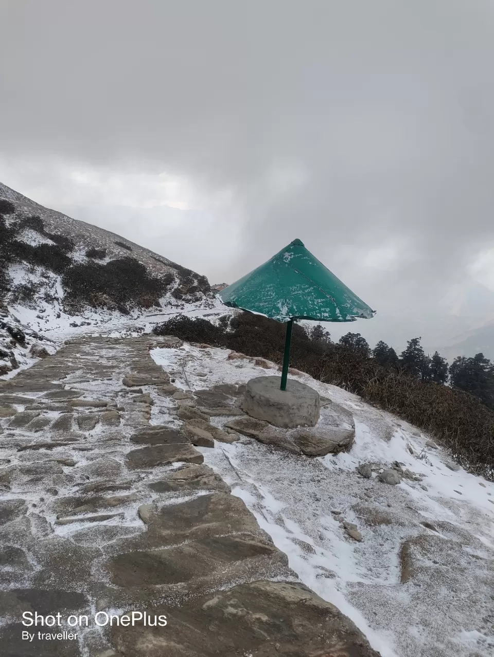 Photo of चिंता का विषय by Pankaj Mehta Traveller