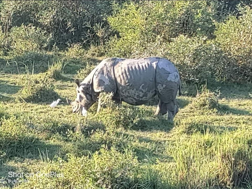 Photo of मिशन किबिथू by Pankaj Mehta Traveller