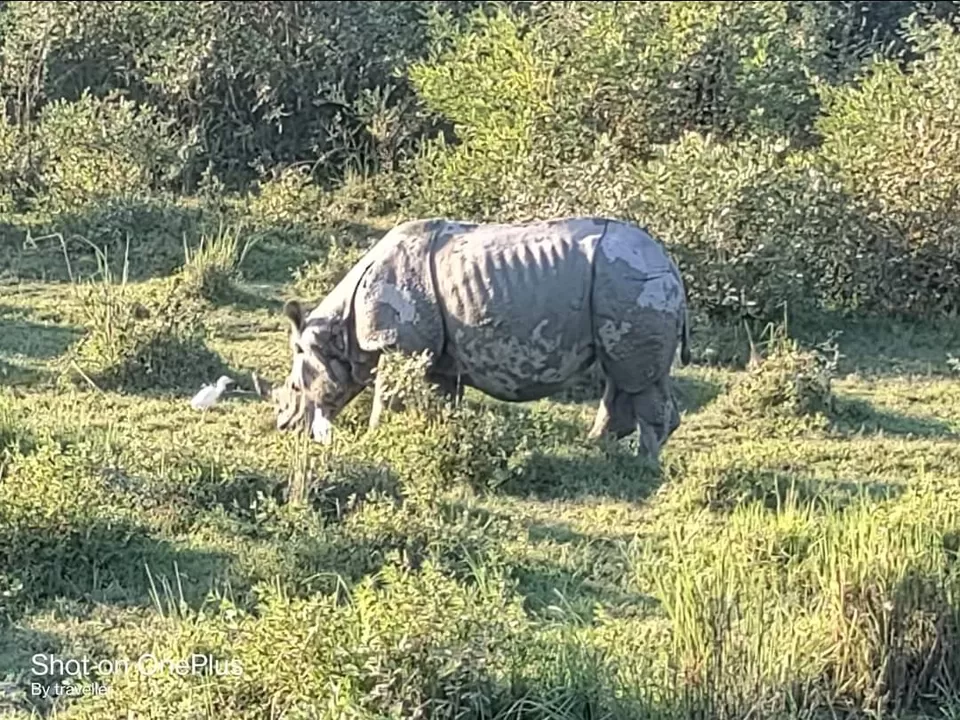 Photo of मिशन किबिथू by Pankaj Mehta Traveller