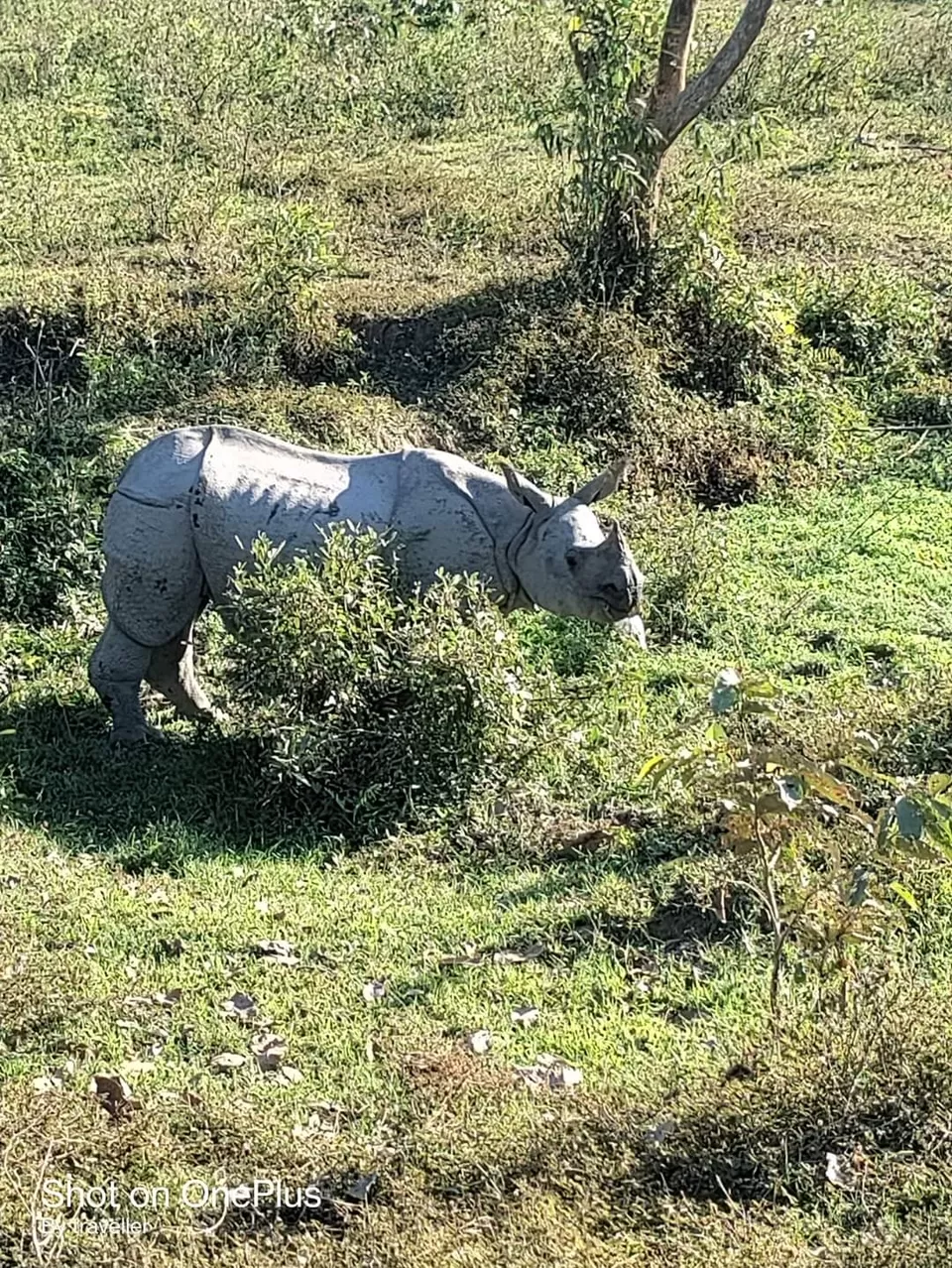 Photo of मिशन किबिथू by Pankaj Mehta Traveller