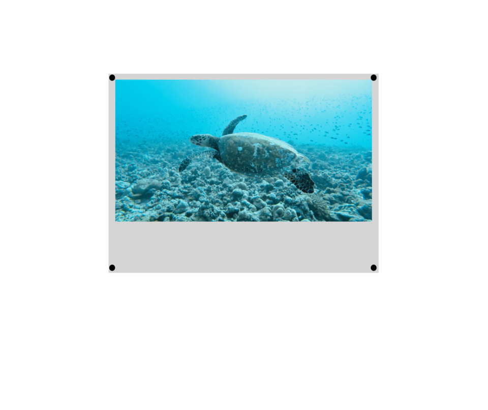 Photo of Lakshadweep: The Scuba island. by Tropical Owl