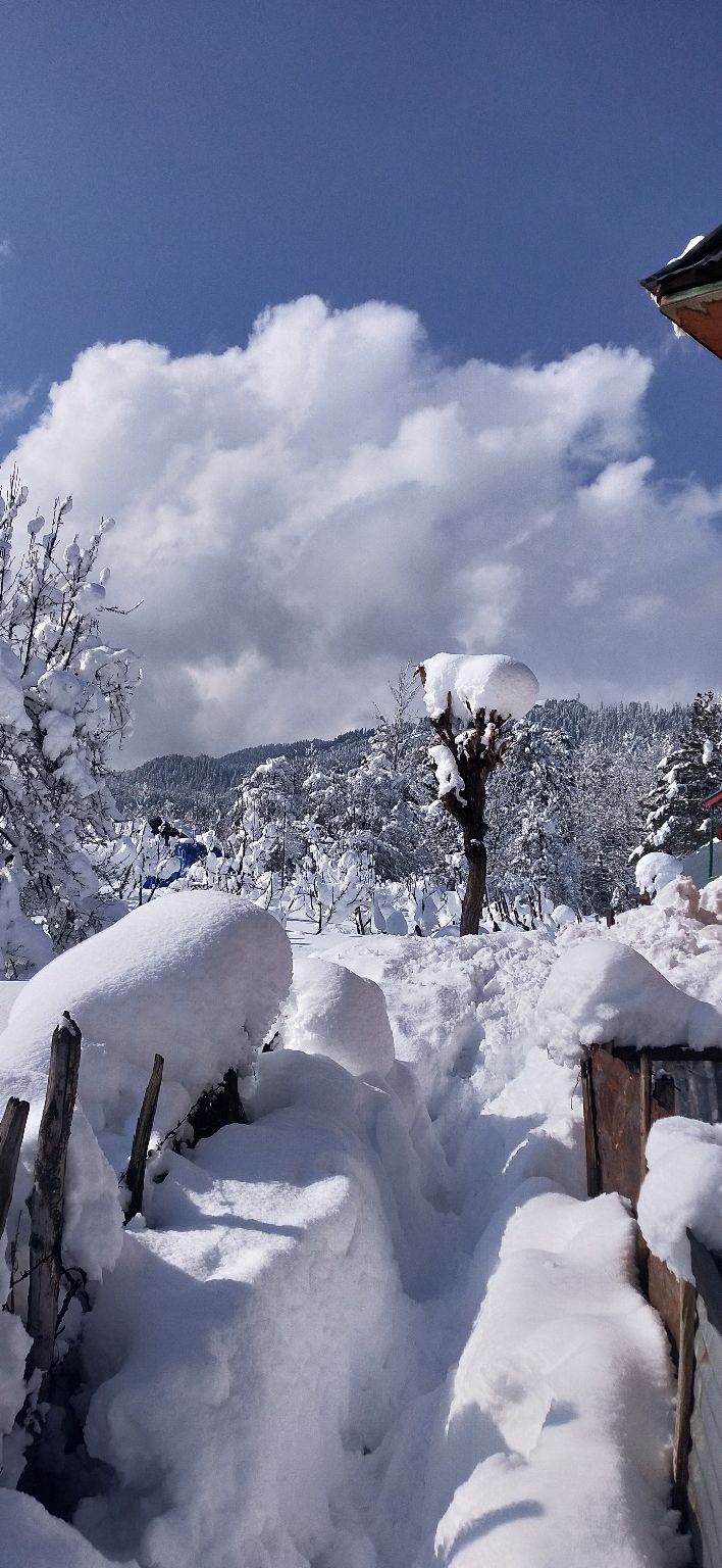Photo of Gulmarg by gulmarg riders