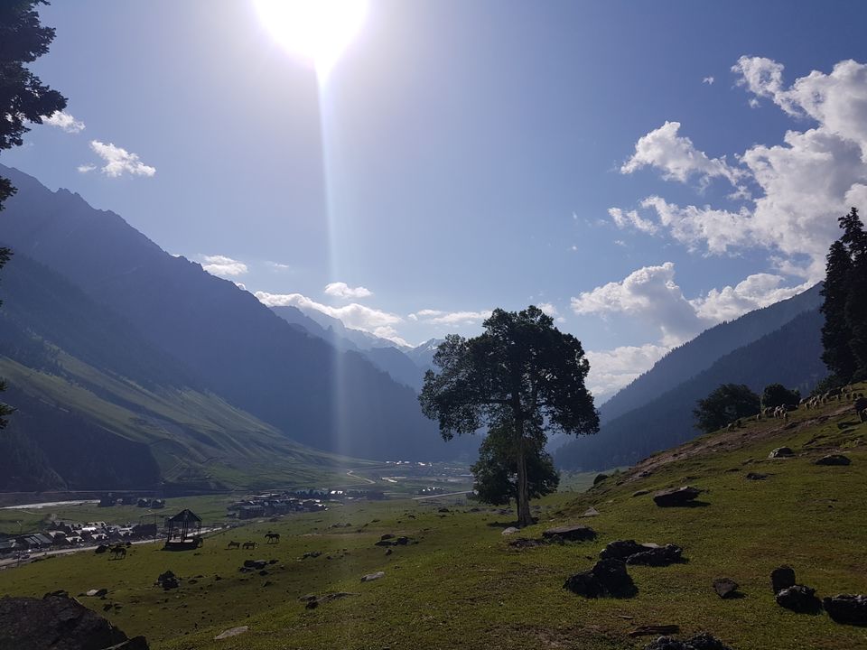 Photo of Sonmarg 2018 by Muzafar Shah